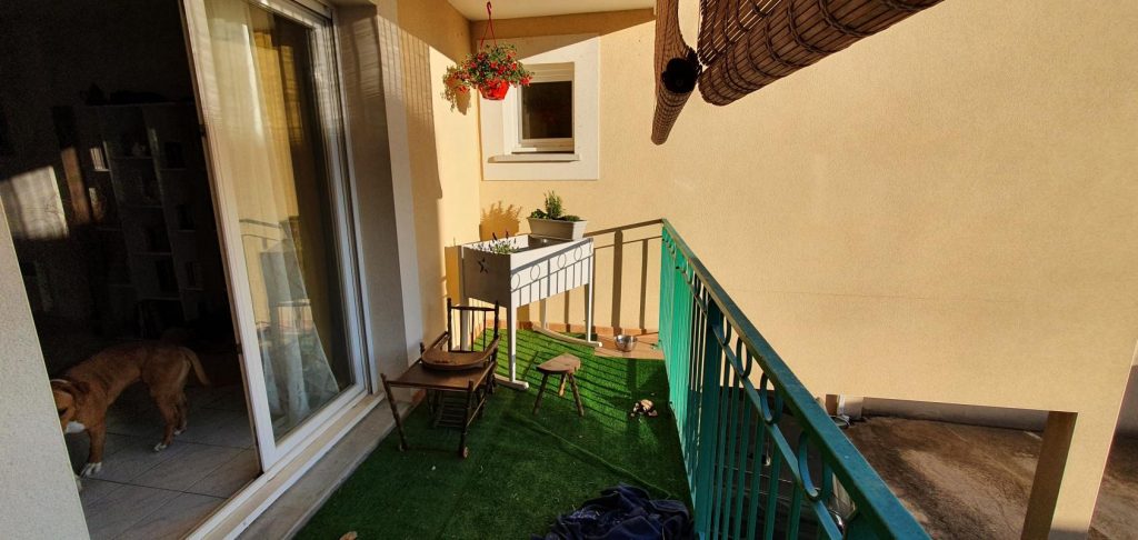 Photo Appartement-3-pièces-56-m²-à-Colombiers-4